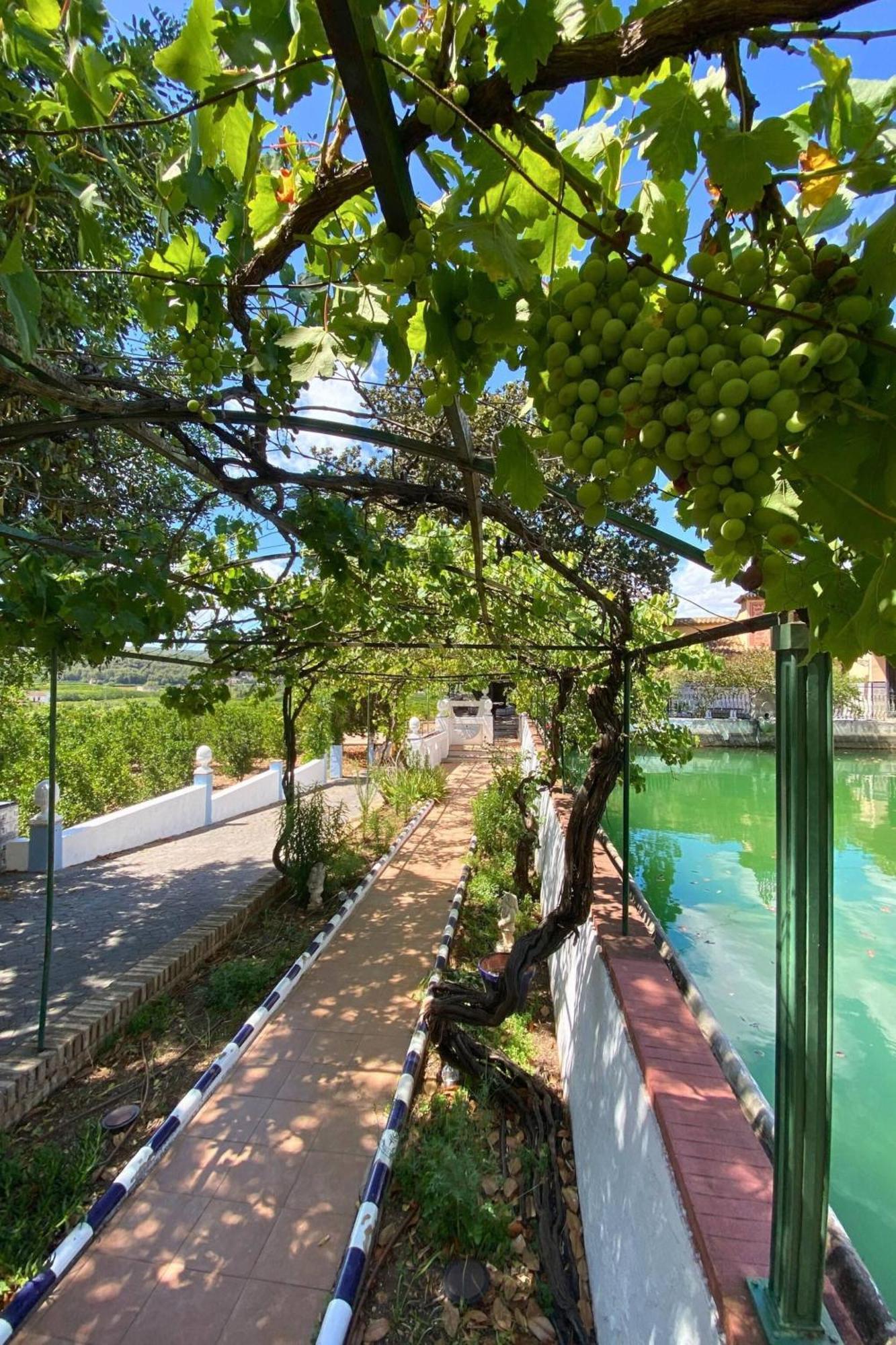 Casa Magnolia, A Rural Paradise House With Pool Alzira Luaran gambar
