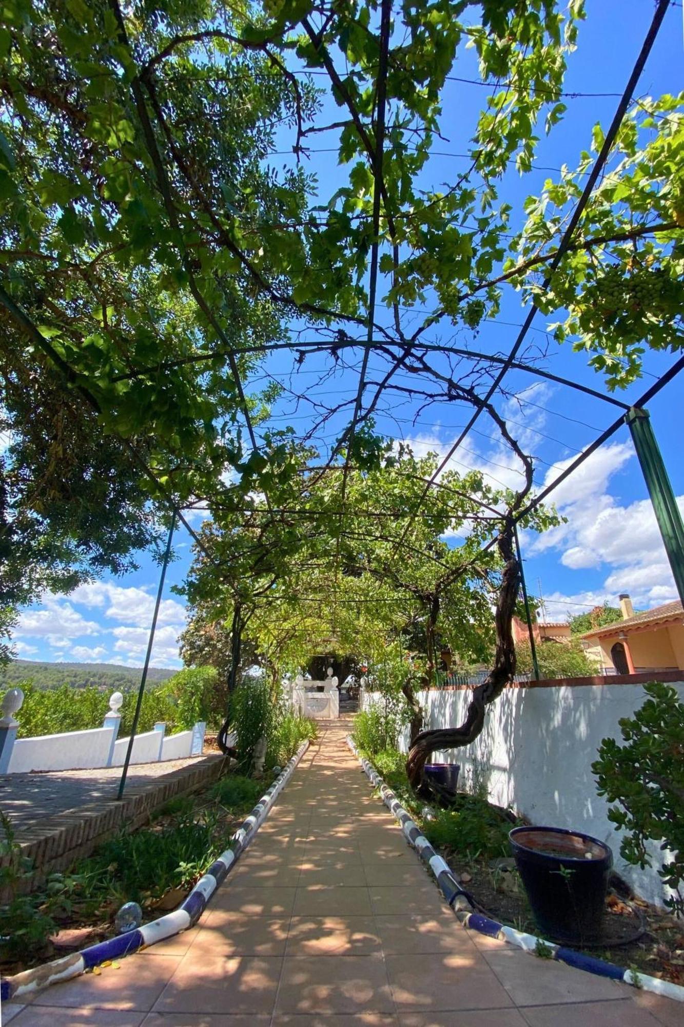 Casa Magnolia, A Rural Paradise House With Pool Alzira Luaran gambar