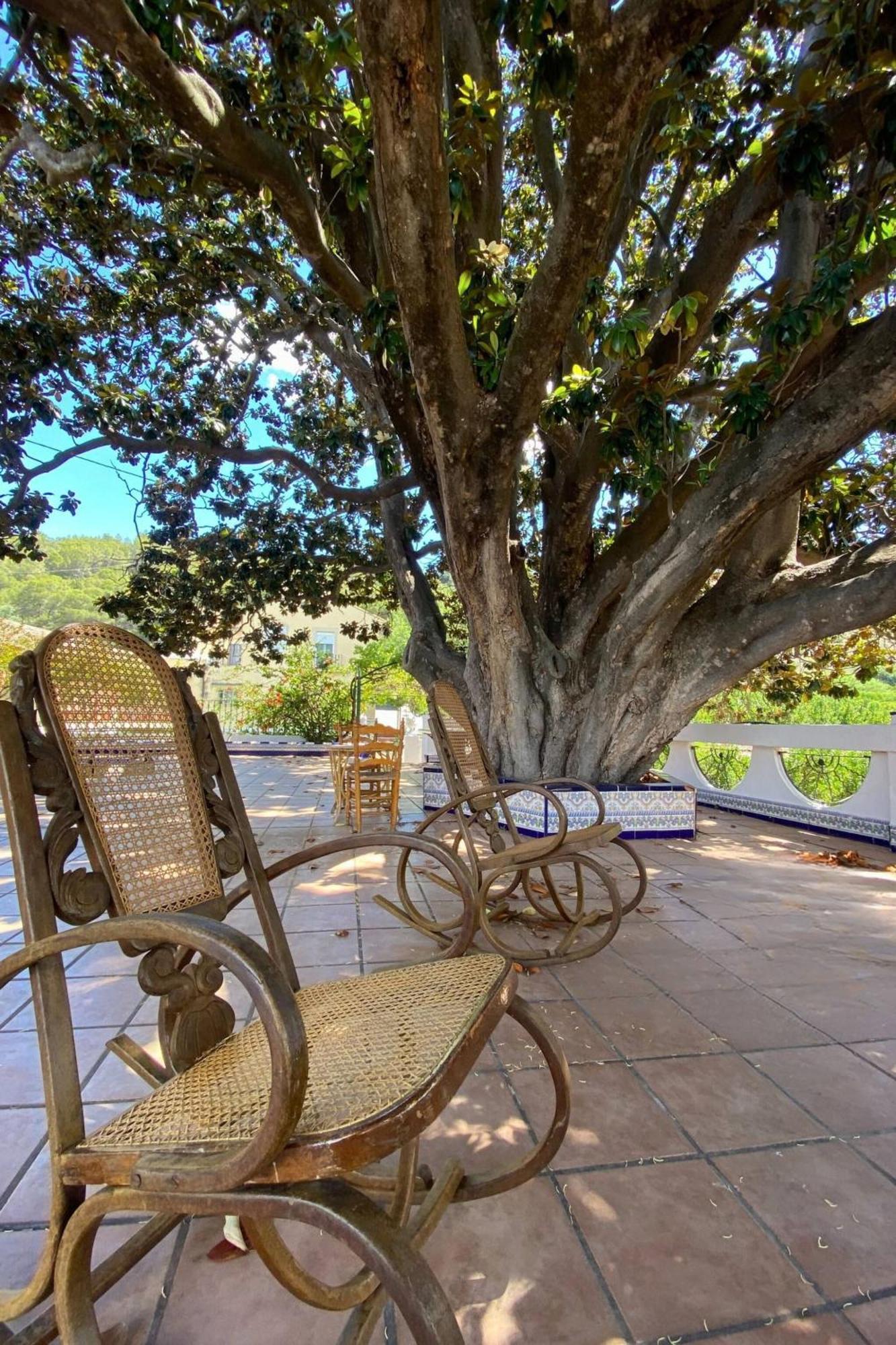 Casa Magnolia, A Rural Paradise House With Pool Alzira Luaran gambar