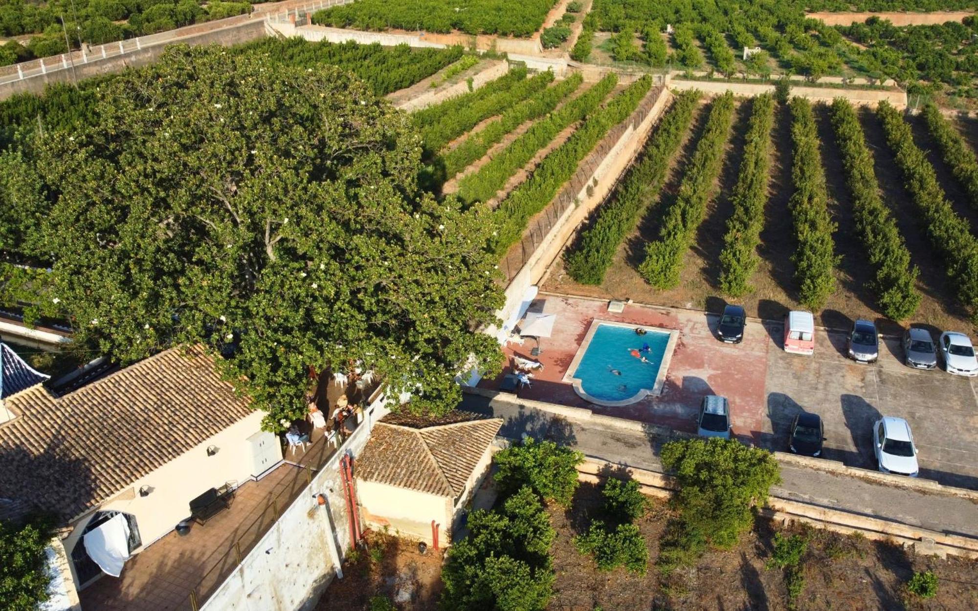 Casa Magnolia, A Rural Paradise House With Pool Alzira Luaran gambar