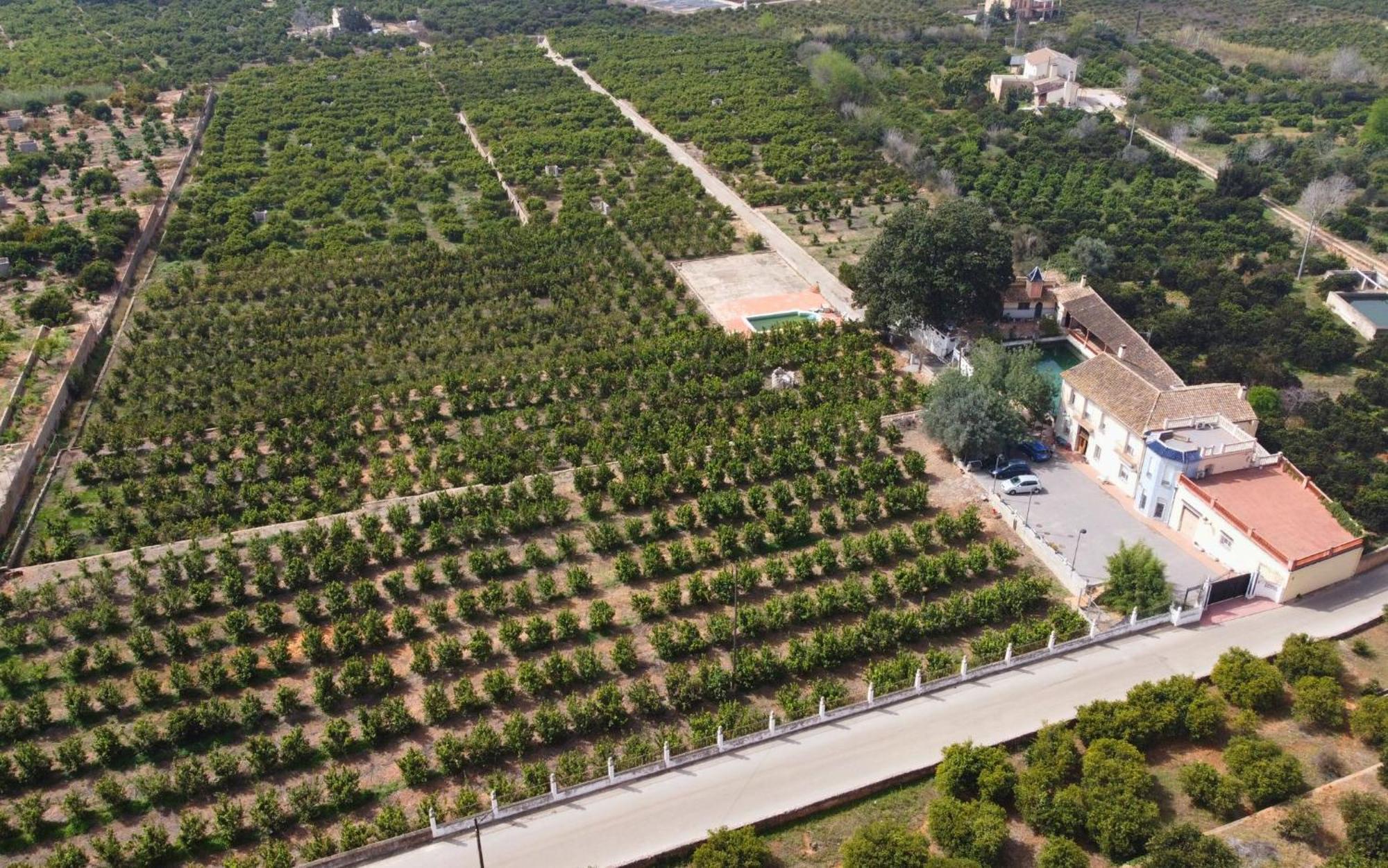 Casa Magnolia, A Rural Paradise House With Pool Alzira Luaran gambar