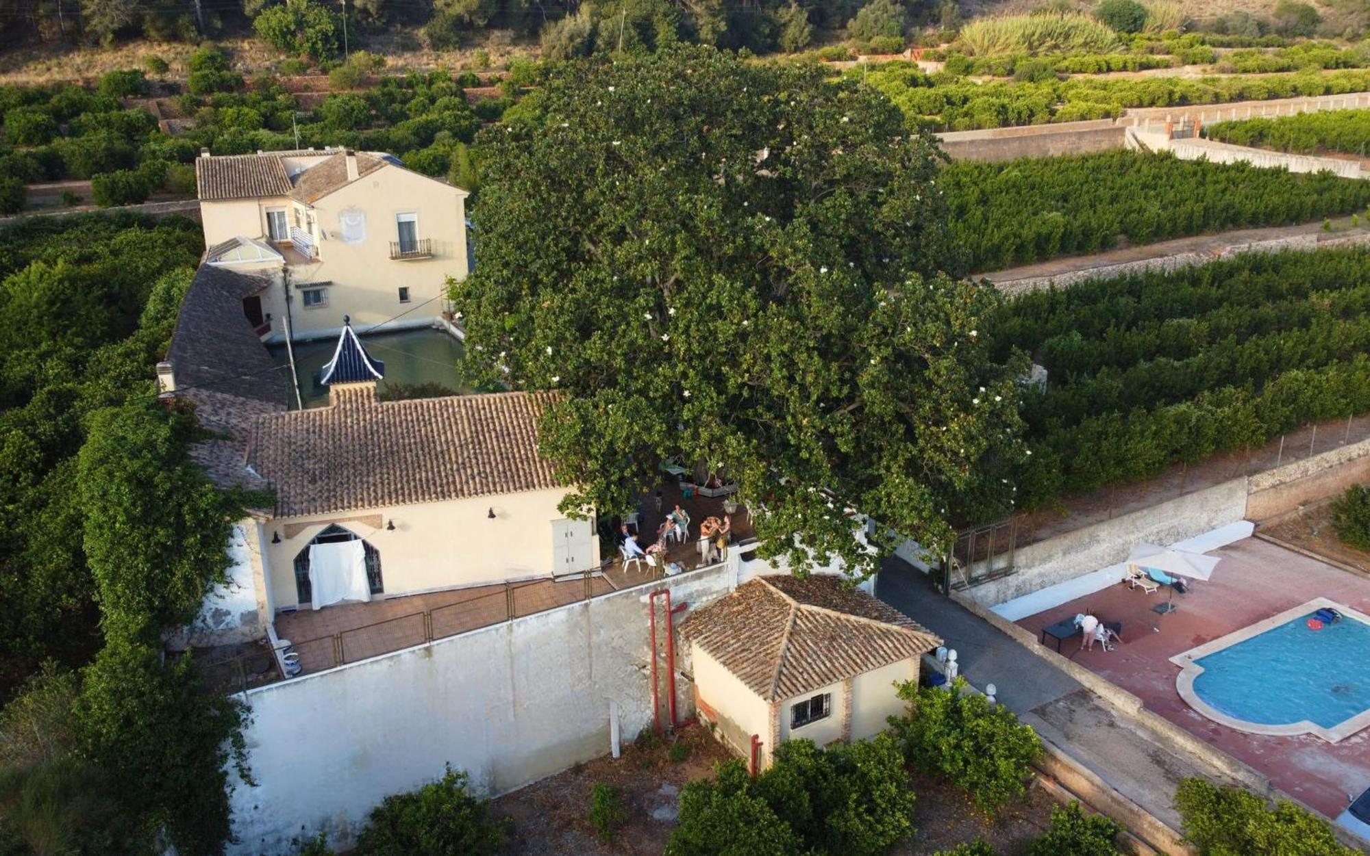 Casa Magnolia, A Rural Paradise House With Pool Alzira Luaran gambar